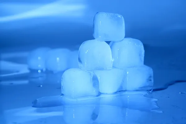 stock image Ice