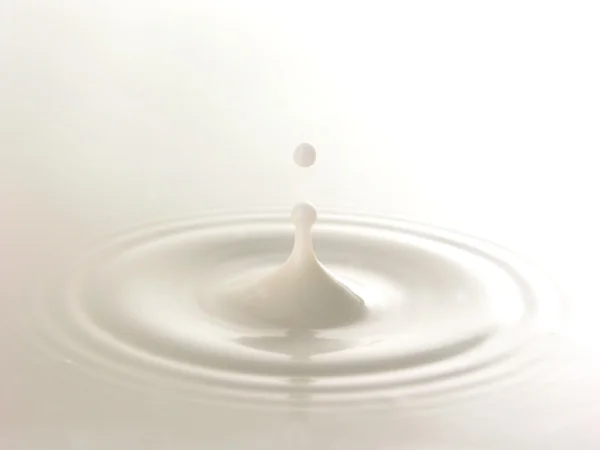 Droppe av färsk och ren mjölk — Stockfoto
