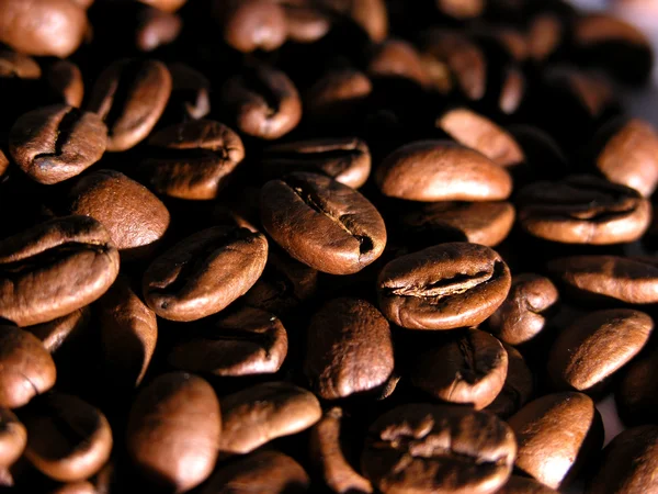 Smažené zrna kávy — Stock fotografie