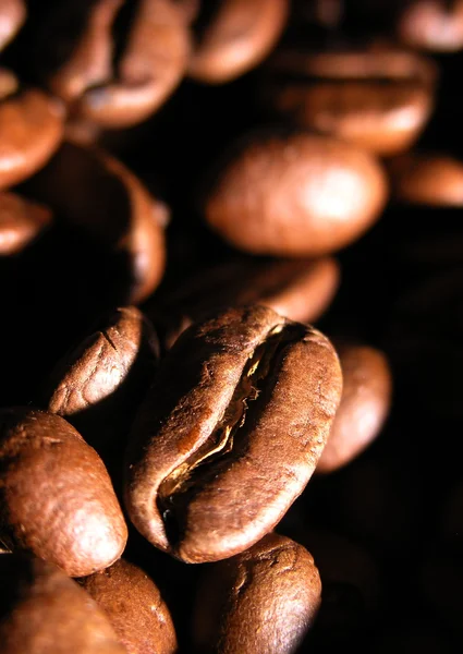 Os grãos fritos de café — Fotografia de Stock