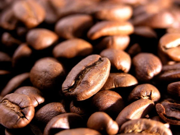 Smažené zrna kávy — Stock fotografie