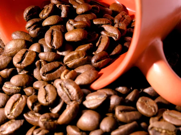 Смажені зерна кави і чашки — стокове фото