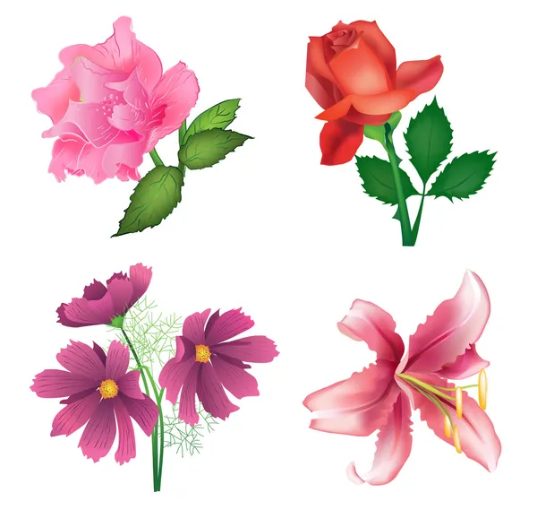 Όμορφα λουλούδια — Διανυσματικό Αρχείο