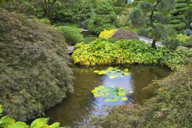 Small pond. clipart