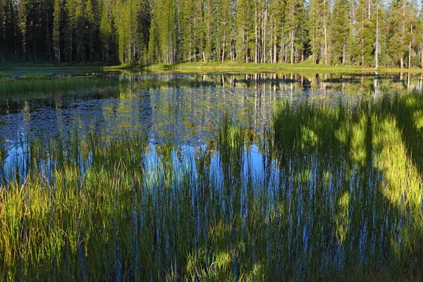 Le lac bleu foncé superficiel — Photo