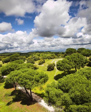 Park, madrid ve uçan bulut