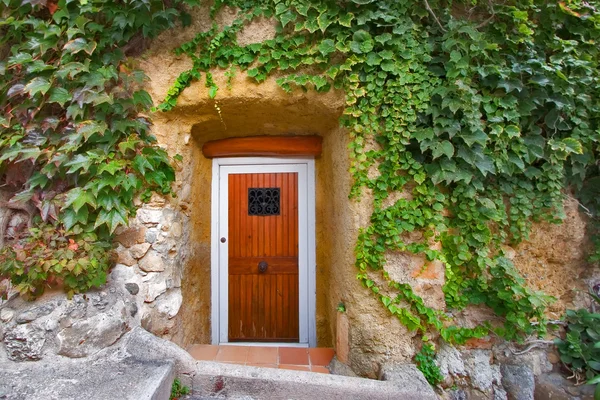 Door in a wall. — Stock Photo, Image