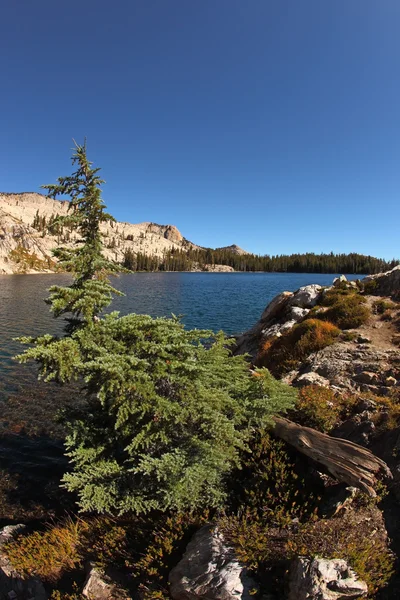 stock image Stony coast of lake in mountains