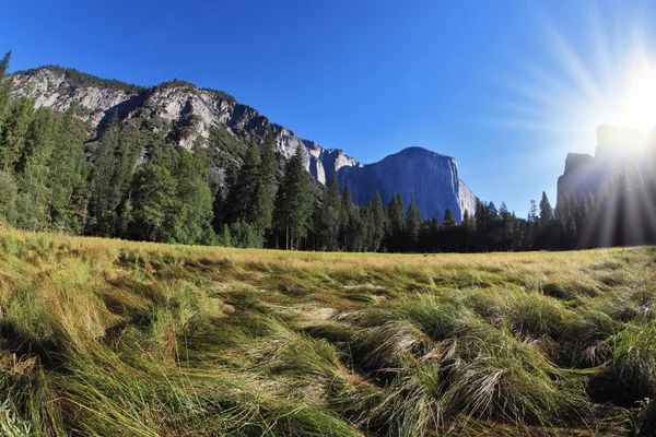 Thel glade dans le parc Yosemite au lever du soleil — Photo