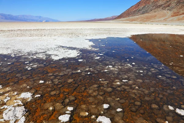 La section de la Vallée de la Mort - "Bad Water " — Photo
