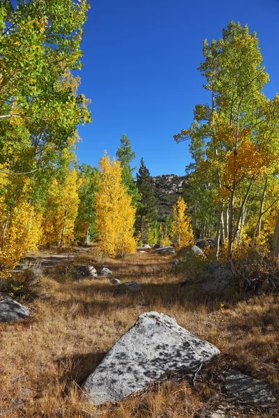 Erstaunlich schöne Herbstlandschaft — Stockfoto