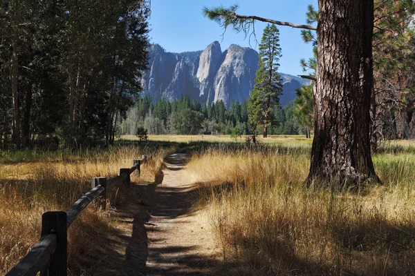 Yosemite Parkı çok güzel gölgeli yol — Stok fotoğraf