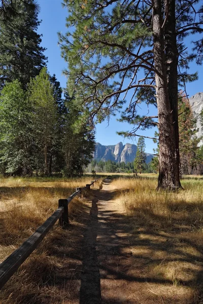 Nydelig lyssky sti i Yosemite – stockfoto