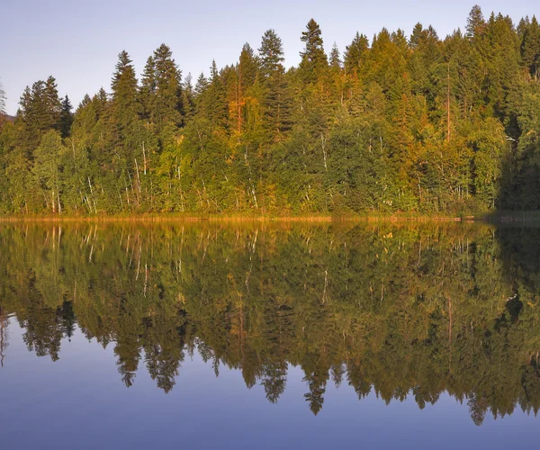 Reflections of autumn. — Stock Photo, Image