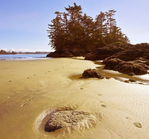 Живописные песчаные дюны — стоковое фото