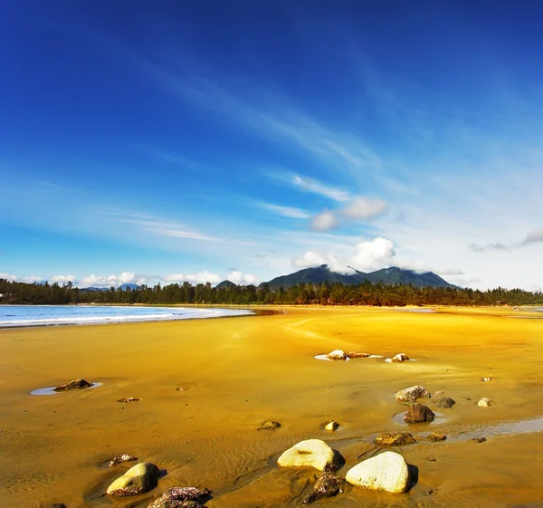 Камни на песчаном пляже океана в Канаде — стоковое фото
