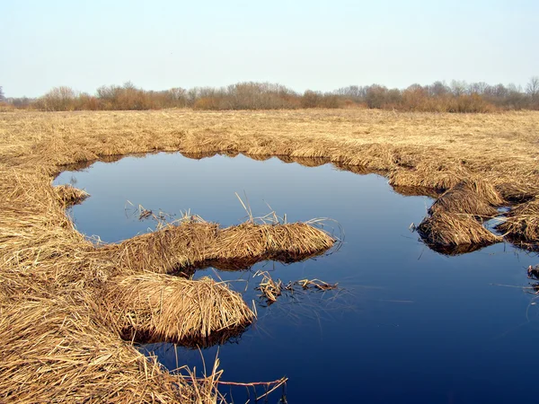 Pequeño lago en el campo entre amarillo seco h — Foto de Stock