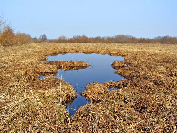 Pequeño lago en el campo entre amarillo seco h —  Fotos de Stock