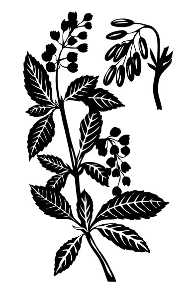 Vektorillustration der Sumpfpflanze auf weißem Hintergrund — Stockvektor