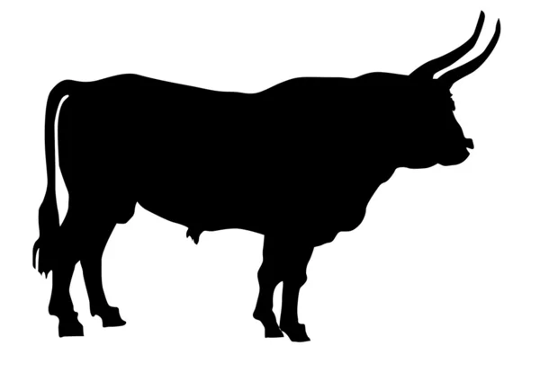 Vector silhouette of the oxen on white background — Stock Vector