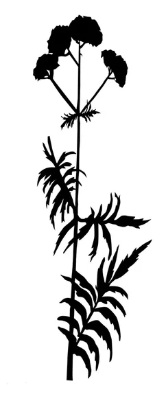 白い背景の上の湿地植物のベクトル イラスト — ストックベクタ