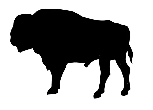 Vector silhouette of the oxen on white background — Stock Vector