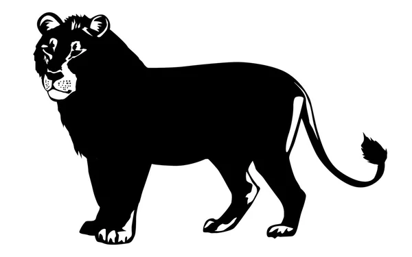 Vector illustration lion on white background — Stock Vector
