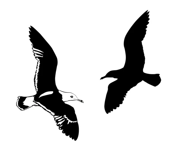 Silhuetas vetoriais aves voadoras no fundo branco — Vetor de Stock