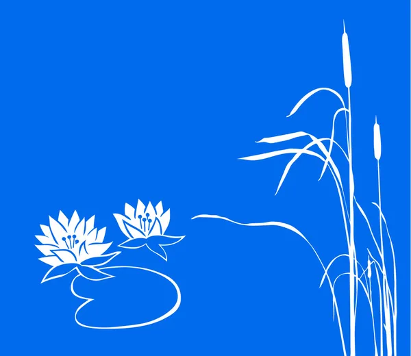 Water lily and reed on blue background. vector — Stock Vector