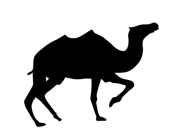 Silhouette vectorielle chameau sur fond blanc — Image vectorielle