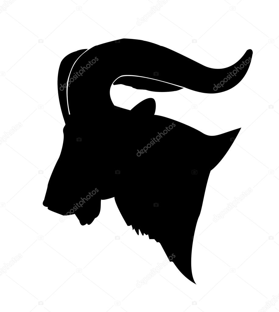 Vector silhouette of the mountain ram on white background