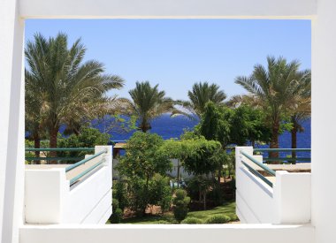 View from the hotel on the Red Sea. clipart