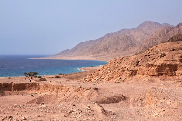 Sinai-Küste. Rotes Meer. — Stockfoto