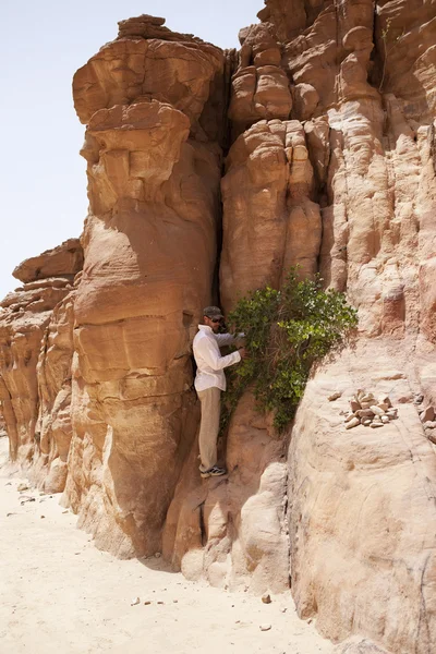 Turista no desfiladeiro colorido. Montanhas do Sinai. Egipto . — Fotografia de Stock