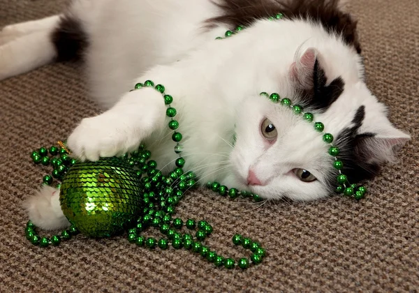Kat met een new year's decoraties. — Stockfoto