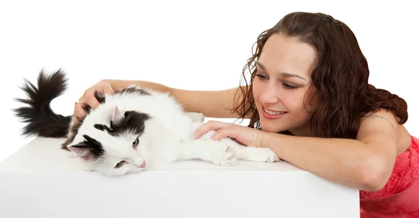 Общение красивая девушка с любимым котом . — стоковое фото