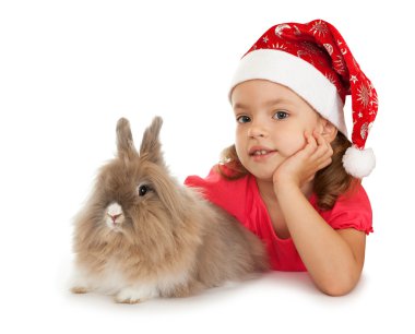 bir tavşan ile yeni yıl şapkalı çocuk.