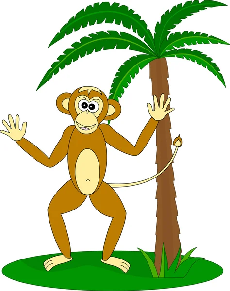 stock vector Monkey under the palm