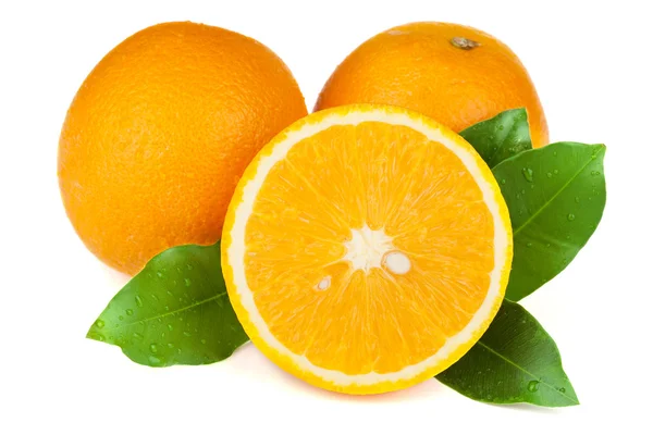 Сочные апельсины — стоковое фото
