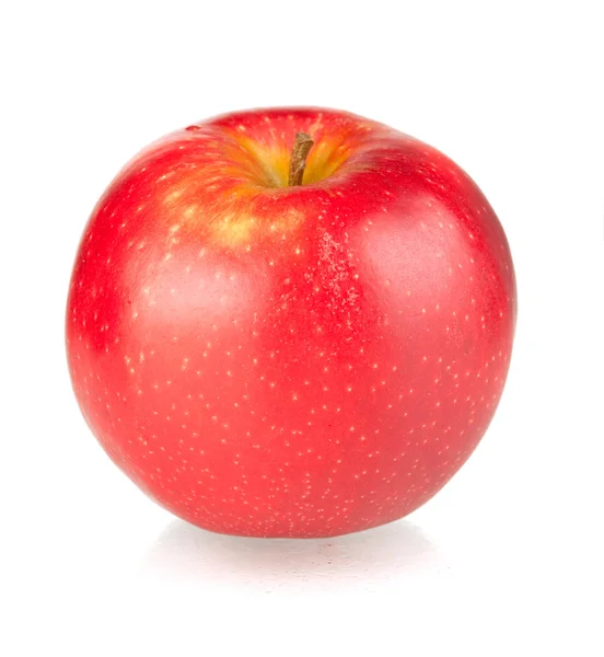 Ένα ώριμο μήλο κόκκινο — Φωτογραφία Αρχείου