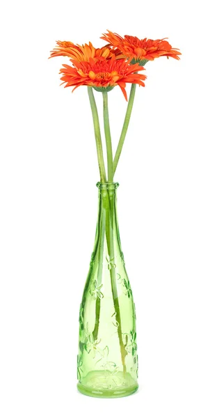 Tres flores de gerberas en botella verde —  Fotos de Stock