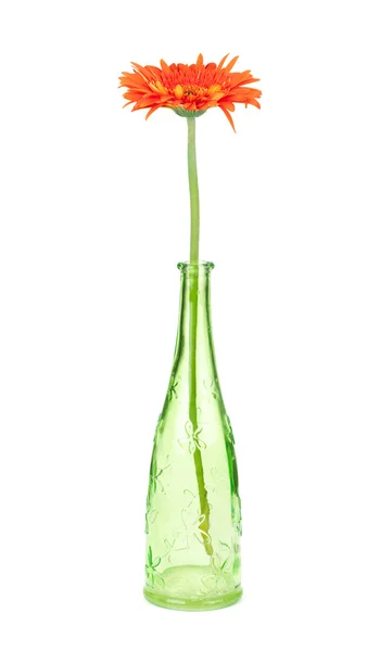 Flor Gerbera en botella verde —  Fotos de Stock