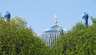 St. Petersburg'un katedral cami (Rusya minarelerinin)