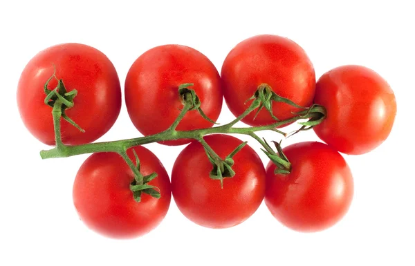 Fresh tomatoes on the white background — Stock Photo, Image