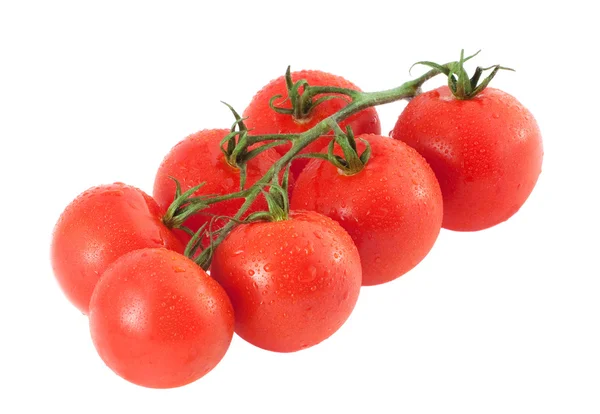 Čerstvá rajčata na bílém pozadí — Stock fotografie