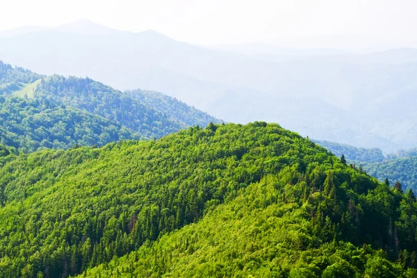 Зеленый вид на горы — стоковое фото