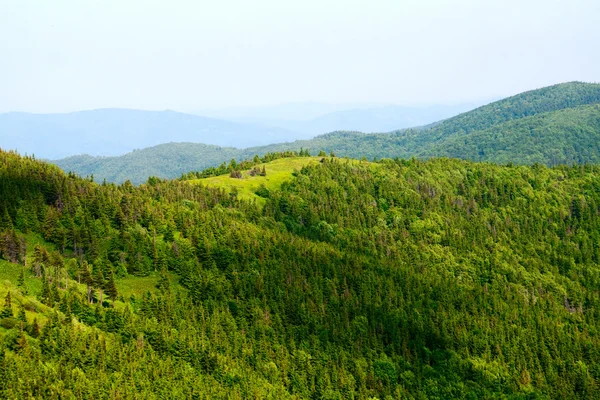 Green mountain view — Stock Photo, Image