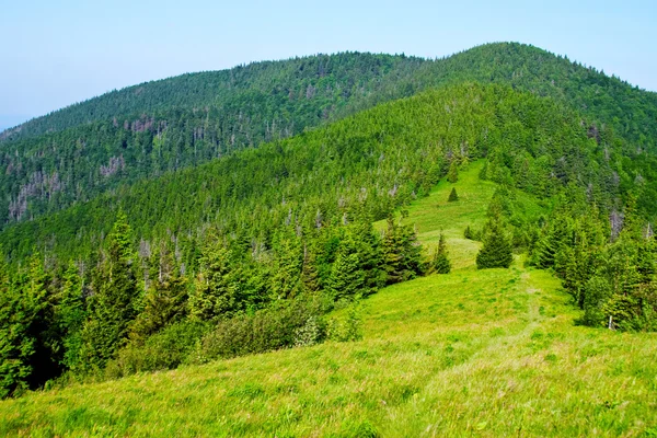 Green mountain view — Stock Photo, Image