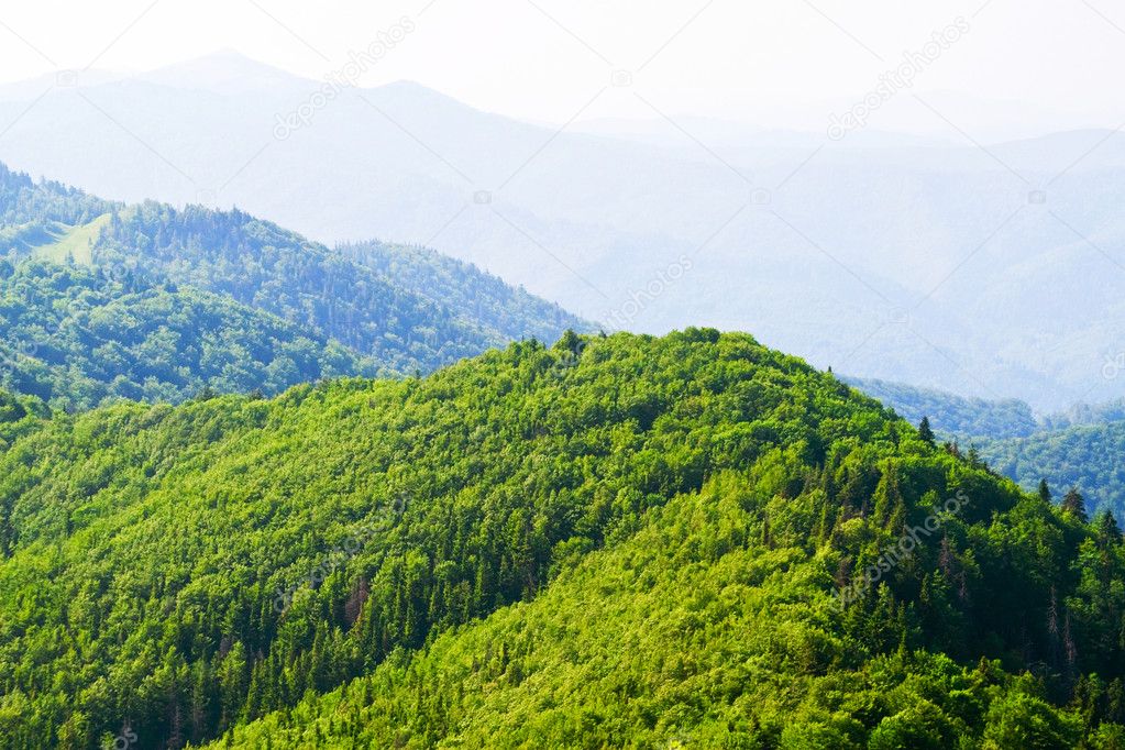 Green mountain view