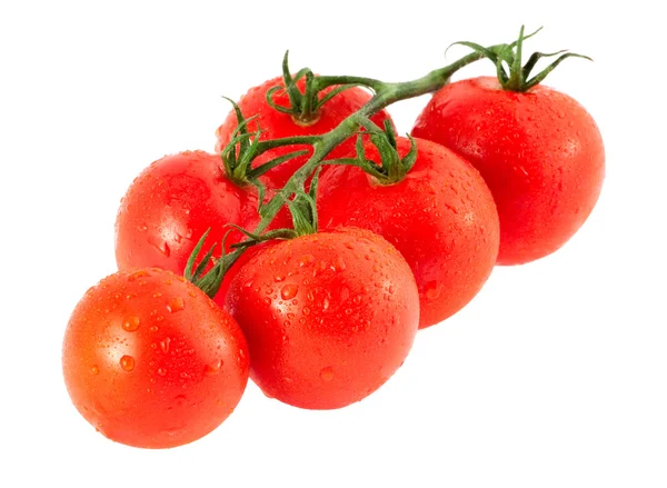 Νωπές ντομάτες στο λευκό φόντο — Φωτογραφία Αρχείου
